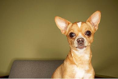 《影之诗 超凡世界》新资料片发布 6月17日正式登陆PC和移动平台